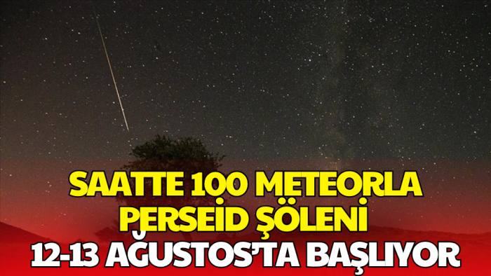Ağustos Ayının Muhteşem Gök Olayı: Perseid Meteor Yağmuru